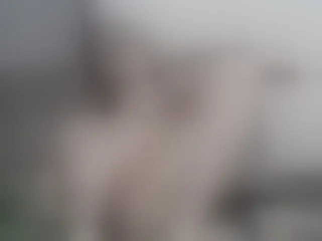 Live sex webcam photo for SEXYQUEEN55 #293533552