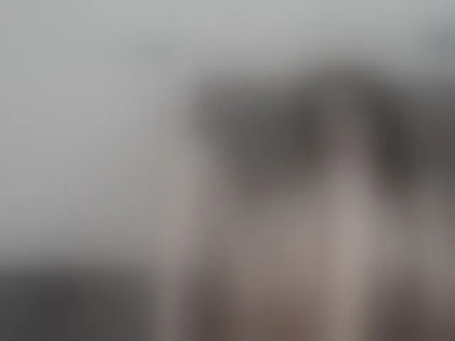 Live sex webcam photo for SEXYQUEEN55 #293756843