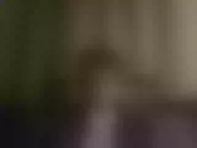 Live sex webcam photo for SEXmax3D #291873326