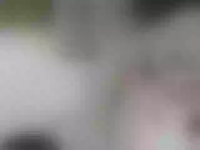 Live sex webcam photo for SKITLSTRYNKA #290520772