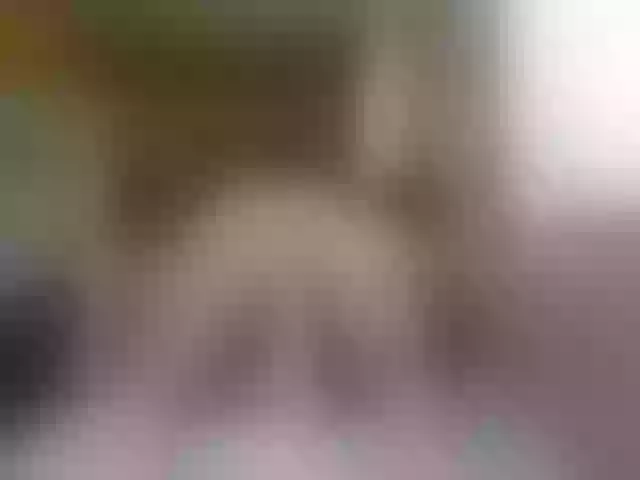 Live sex webcam photo for SKITLSTRYNKA #290743116