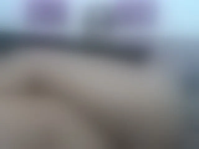 Live sex webcam photo for SOY-KIM #274653447