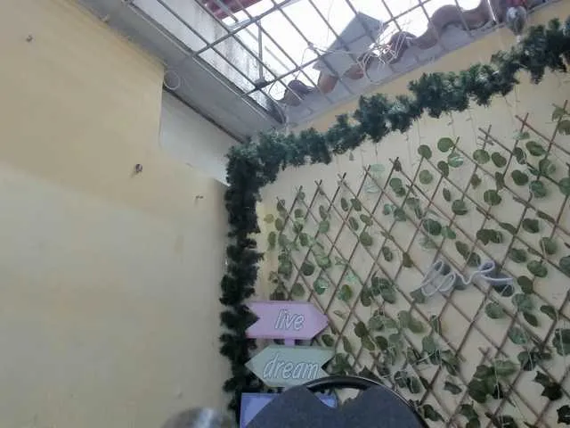 Live sex webcam photo for SOY-KIM #277535767