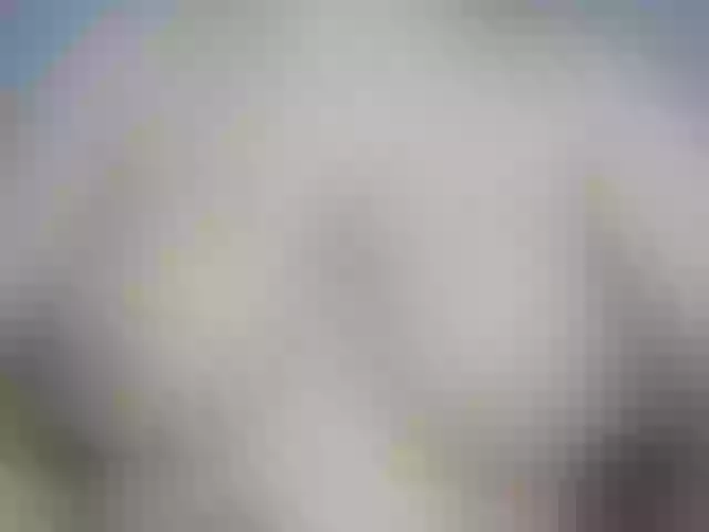 Live sex webcam photo for SOY-KIM #291351509