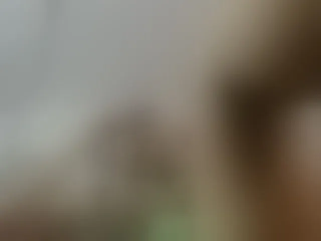 Live sex webcam photo for SOY-KIM #292739906