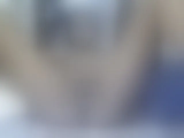 Live sex webcam photo for SPRINGCHICKEN96 #293902379