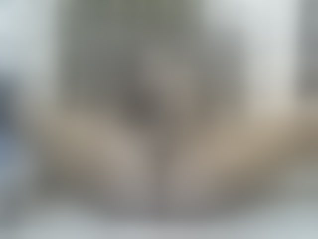 Live sex webcam photo for SPRINGCHICKEN96 #294077506