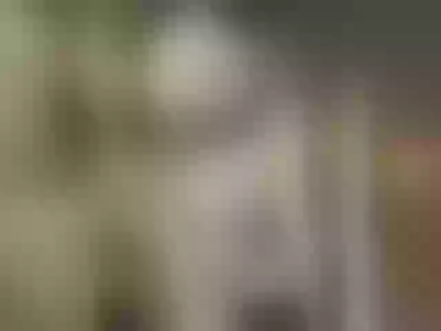 Live sex webcam photo for SSallyy #272273510