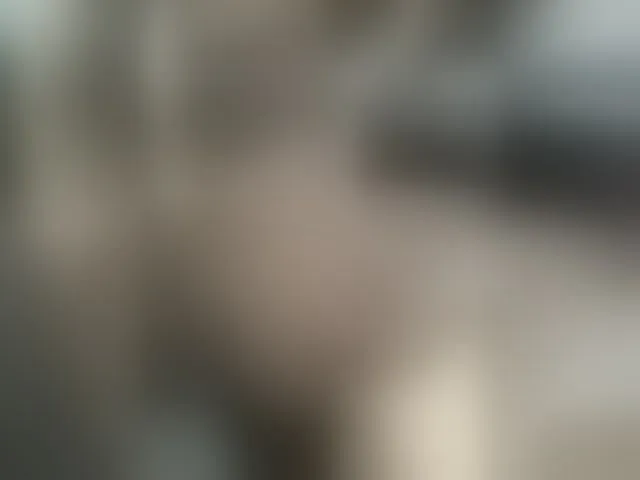 Live sex webcam photo for STOP-PANIC #287997622