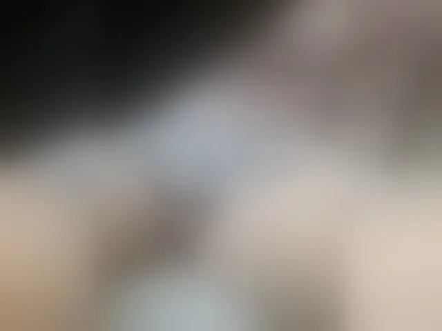 Live sex webcam photo for STOP-PANIC #287997637