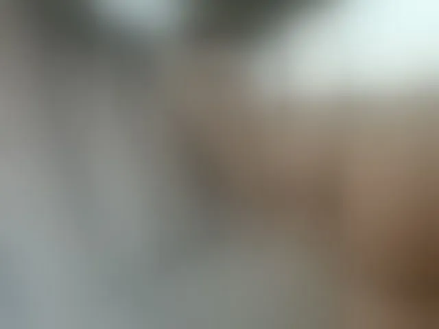 Live sex webcam photo for STOP-PANIC #287997654