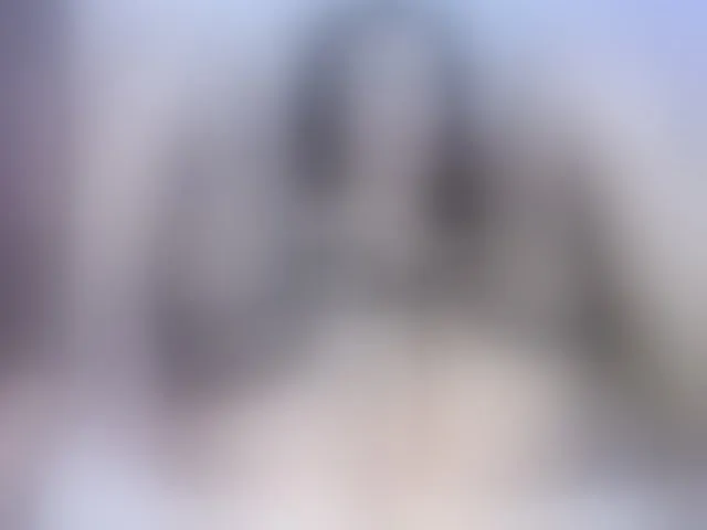Live sex webcam photo for STOP-PANIC #287997744