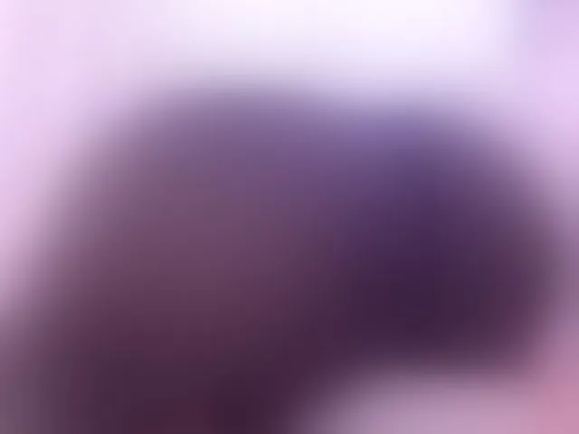 Live sex webcam photo for Saamii-robertss01 #293378650