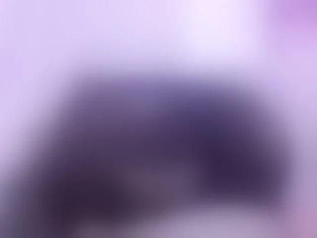 Live sex webcam photo for Saamii-robertss01 #293420438