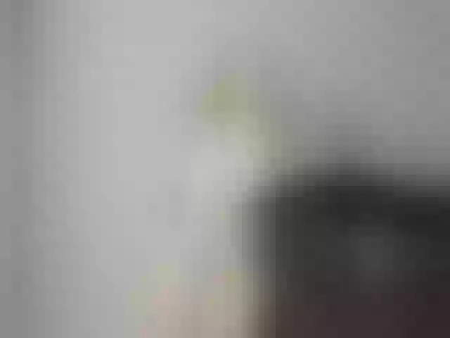 Live sex webcam photo for SabrinaCandi #292266832