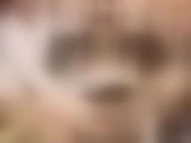Live sex webcam photo for SabrinaSmith #293016865