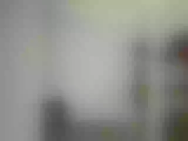 Live sex webcam photo for Saliss1 #291993074
