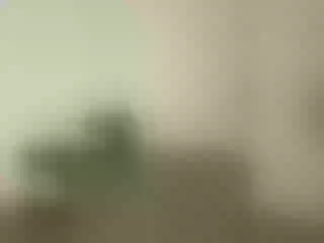 Live sex webcam photo for Saliss1 #292013625