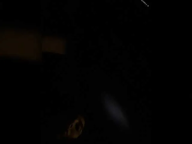 Live sex webcam photo for SallyeLeins #291864956