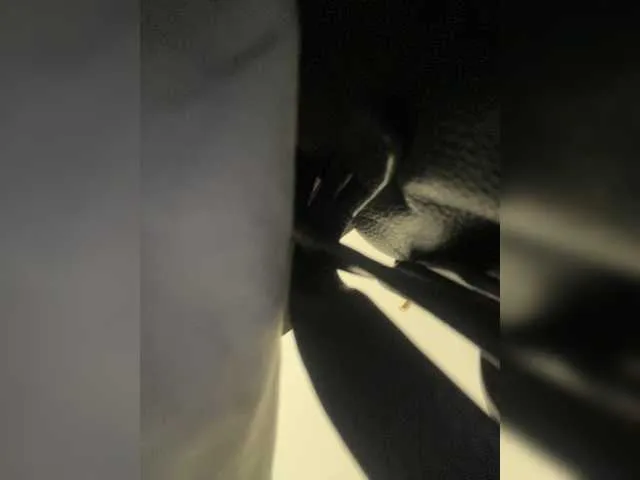 Live sex webcam photo for SallyeLeins #291957276