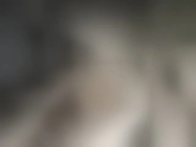 Live sex webcam photo for SallyeLeins #293932638