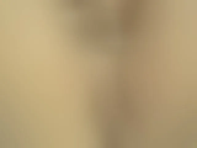 Live sex webcam photo for SallyeLeins #293934918