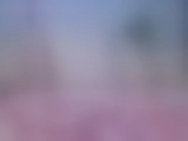 Live sex webcam photo for SallyeLeins #294180278