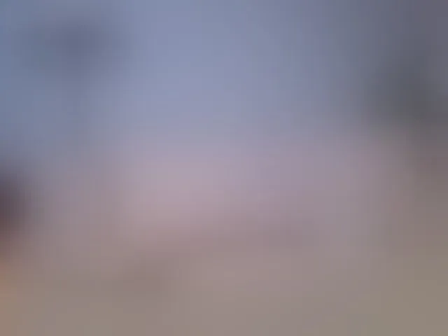 Live sex webcam photo for SallyeLeins
