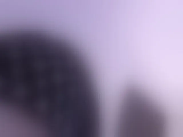 Live sex webcam photo for Salytexas #292760622