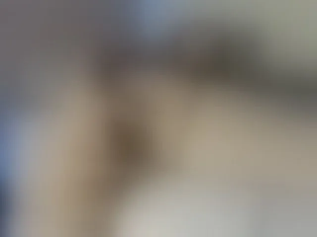 Live sex webcam photo for Salytexas #293066544