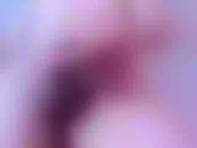 Live sex webcam photo for SamPetherson #290323792