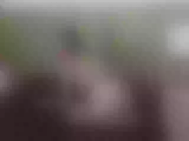 Live sex webcam photo for SamantaKane #290899998