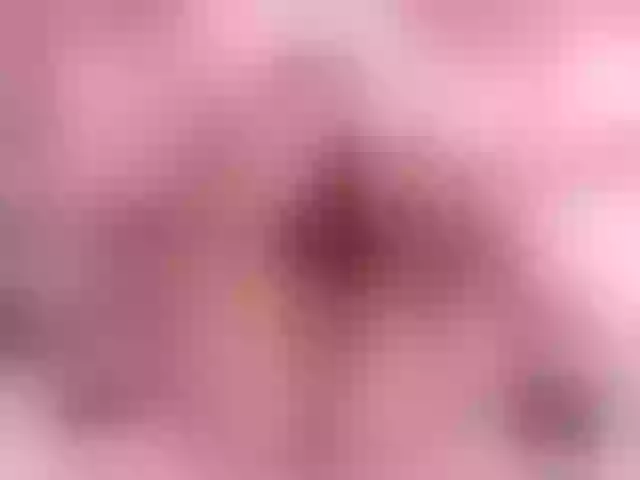 Live sex webcam photo for SamantaKane #291258814