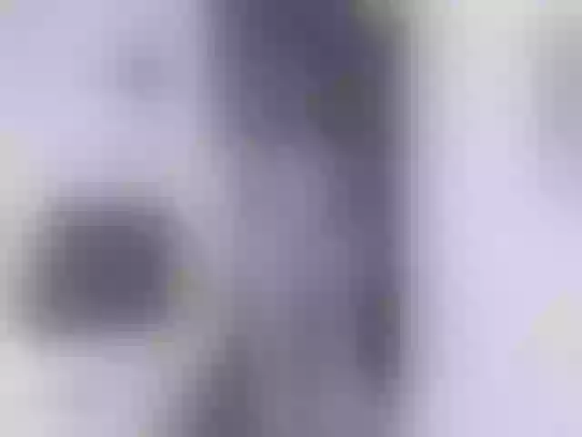 Live sex webcam photo for Samantha-Claus #292127995