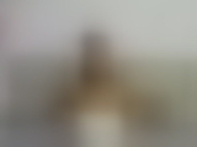 Live sex webcam photo for Samanthaa1 #294141271