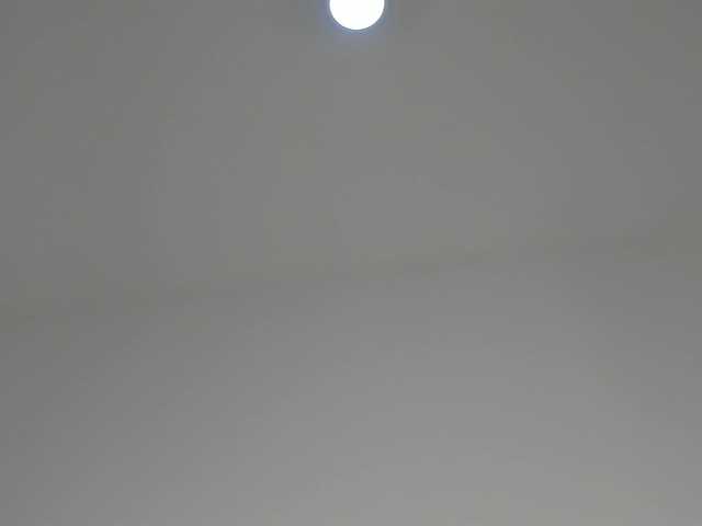 Live sex webcam photo for Samara-velez1 #290936368