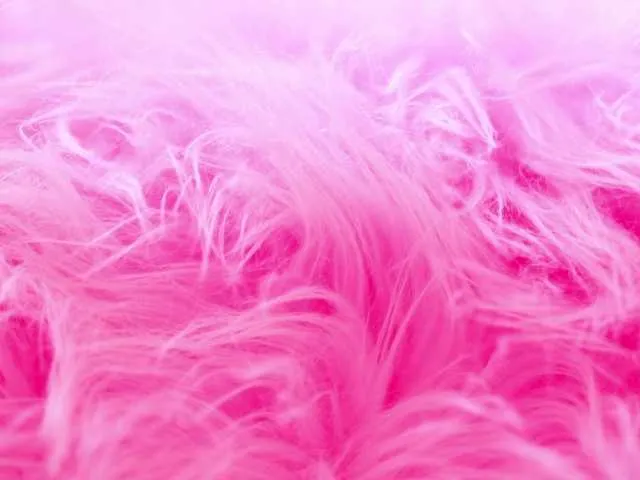 Live sex webcam photo for SamaraCortez #277942783