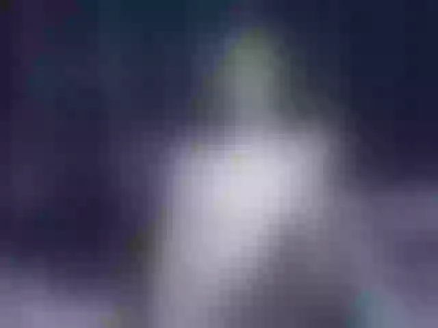 Live sex webcam photo for Samii-Evans #273148240