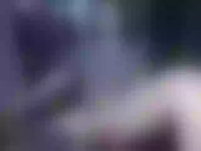 Live sex webcam photo for Samii-Evans #273241561