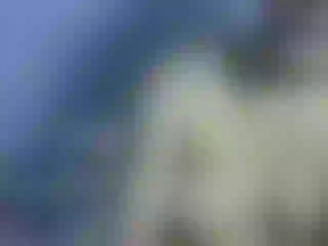Live sex webcam photo for Saminahh #277445518