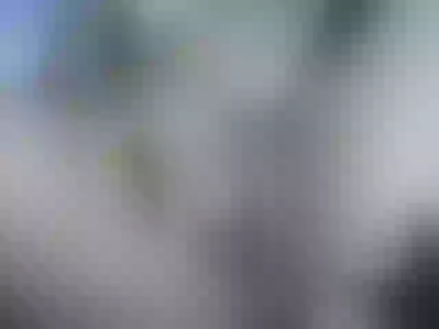 Live sex webcam photo for Saminahh #277545214