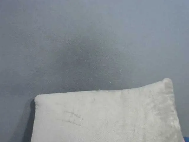 Live sex webcam photo for Saminahh #277818482