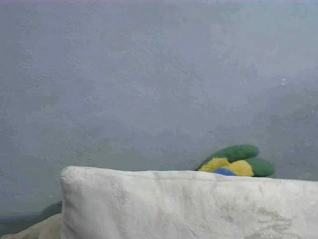 Live sex webcam photo for Saminahh #289279895