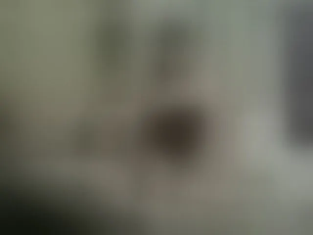 Live sex webcam photo for Sammi09 #278238140