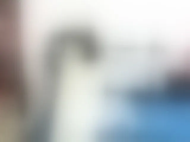 Live sex webcam photo for Samurayjiu #293393704