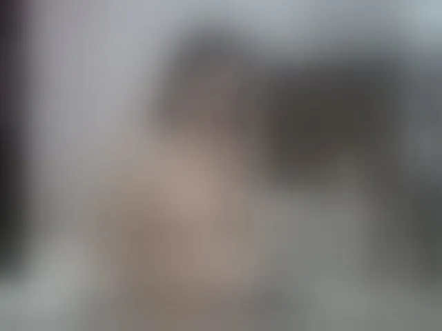 Live sex webcam photo for SandraTomson1 #272124910