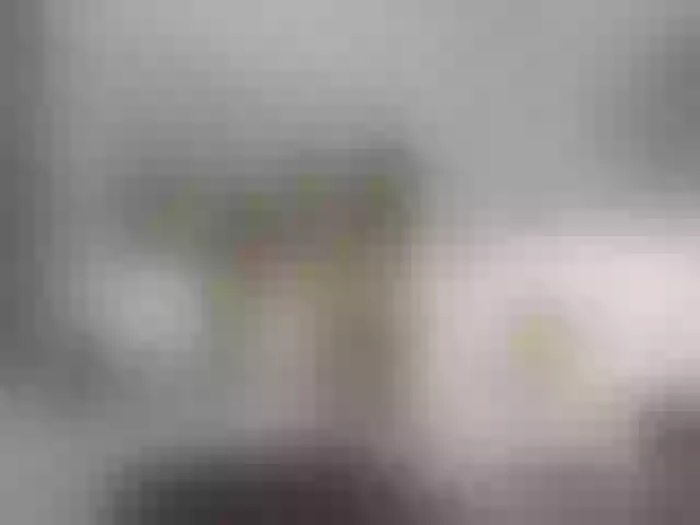 Live sex webcam photo for SandraTomson1 #272551963