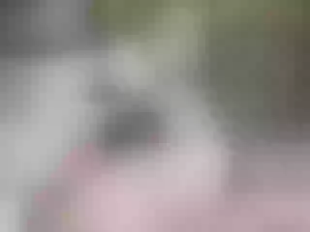 Live sex webcam photo for SansaStaark #290466271