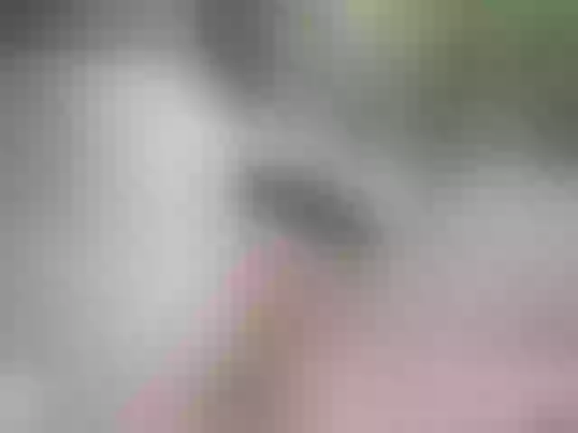 Live sex webcam photo for SansaStaark #290554488