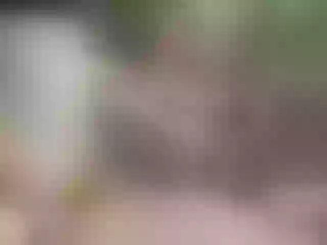 Live sex webcam photo for SansaStaark #290655072